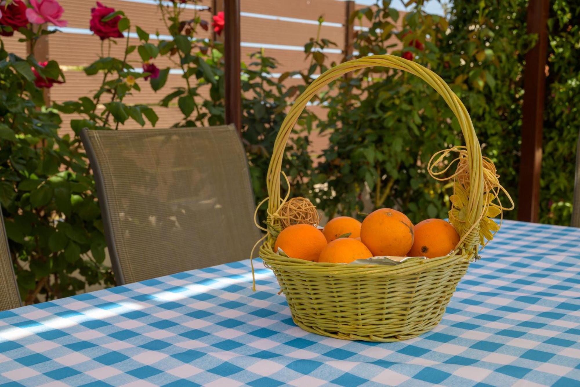 Artemis Riviera Βίλα Εξωτερικό φωτογραφία